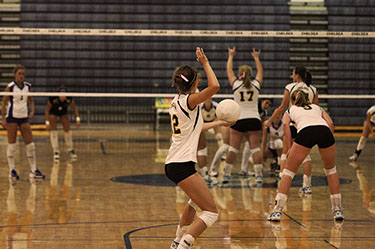 apple watch volleyball